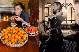 Lệ Quyên nhận ra sai lầm sau đổ vỡ, Quyền Linh thưởng thức hồng