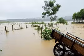 Hoàn lưu của áp thấp nhiệt đới gây mưa lớn khắp miền Trung