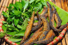 Loại cá được mệnh danh "sâm nước" giúp tăng ham muốn, bổ khí huyết