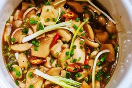 Loại nấm được ví như “bào ngư chay” bảo vệ gan, chống ung thư