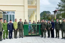 Chốt số phận 4 con chuột túi được phát hiện tại Cao Bằng 