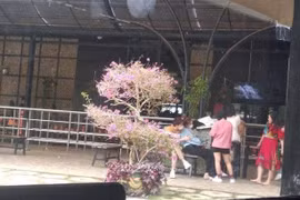 Ninh Dương Lan Ngọc - Chi Dân lộ ảnh ôm nhau, hẹn hò ở Đà Lạt