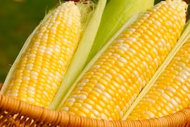 Bị gan nhiễm mỡ nên ăn ngay những thực phẩm này