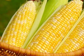 Bị gan nhiễm mỡ nên ăn ngay những thực phẩm này