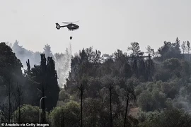 Cháy rừng lớn nhất lịch sử, Israel ban bố tình trạng khẩn cấp