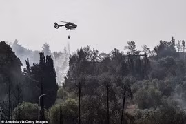 Cháy rừng lớn nhất lịch sử, Israel ban bố tình trạng khẩn cấp