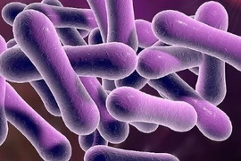 Cách phòng tránh lây nhiễm bệnh bạch hầu