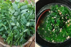 Hai loại rau chứa cả “vựa vitamin C” giúp bổ máu, hạ đường huyết