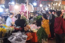 Chợ hoa đêm Quảng An (Hà Nội) tấp nập dịp 8/3