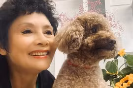 Cuộc sống độc thân của NSND Minh Châu ở tuổi U70