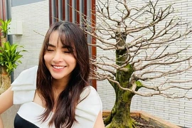 Hải Băng bức xúc vì trộm cuỗm mất cây mai gần 100 triệu