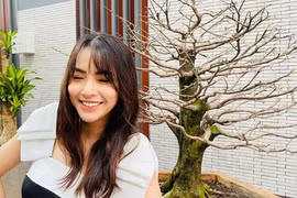 Hải Băng bức xúc vì trộm cuỗm mất cây mai gần 100 triệu