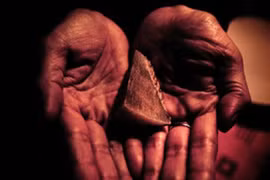 Báo Mỹ sốc với đường dây bán động vật hoang dã Việt Nam 