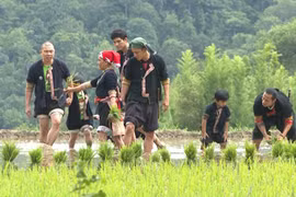 Sao "Bố ơi! Mình đi đâu thế" lội bùn học cấy lúa