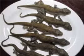 Loại đặc sản chỉ nhìn cũng “nổi da gà”, dân thành phố săn lùng