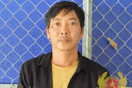 Triệt phá băng trộm cuỗm hàng loạt cây mai tiền tỷ ở miền Tây