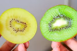 Loại quả giàu collagen, hỗ trợ làm đẹp da, ngăn ngừa lão hoá