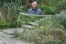 Thực hư áo tàng hình Trung Quốc đang gây xôn xao