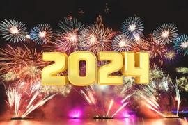 Tết Nguyên đán 2024, TP.HCM bắn pháo hoa tại 8 điểm đêm giao thừa