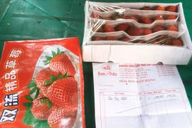 “Đội lốt” hoa quả ngoại: Siêu lợi nhuận và nguy cơ thất thu thuế