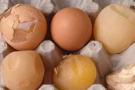 Trứng gà bổ dưỡng nhưng tránh xa nếu có dấu hiệu này