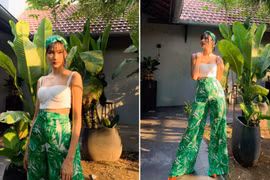 Sao Việt hủy vé máy bay về nhà đón Tết Nguyên đán 2021