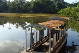 Sát thủ diệt rùa và 'rùa Hồ Gươm' khổng lồ ở Phú Thọ 