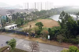 Ngăn chặn san lấp đất trái phép ở Sài Sơn, Hà Nội