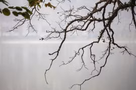 Dự báo thời tiết ngày 20/2: Bắc Bộ tiếp tục mưa rét, nồm ẩm