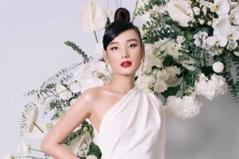 Lê Thúy nhập viện cấp cứu vì nhiễm trùng và viêm ống dẫn thận