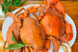 Bị zona thần kinh có ăn được cua?