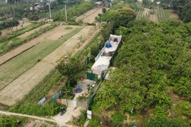 Công trình xây dựng “mọc" trên đất nông nghiệp: Ai chịu trách nhiệm?