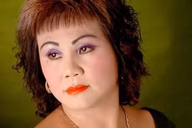 Mr Đàm khởi động đêm nhạc ủng hộ nghệ sĩ Hoàng Lan