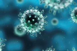 13 ca mắc cúm A tại trường học: Cách phòng bệnh hiệu quả