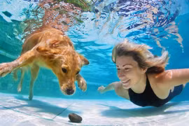 Loài người sẽ có thể sống dưới nước nhờ công nghệ này?