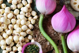 3 loại hạt được ví như “thuốc quý” giúp bảo vệ gan