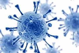 Người thứ 7 trên thế giới khỏi HIV nhờ liệu pháp tế bào gốc