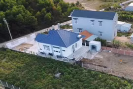 “Chàng chăn bò” nổi tiếng nhờ đếm số: Mua đất, xây nhà cả tỷ 