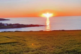 Nợ tiền bạn nhưng không trả, cô gái đề nghị khiến chủ nợ sốc