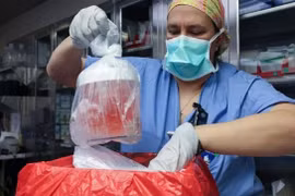 Những đột phá y học đáng kinh ngạc trong năm 2024