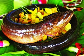 Món ngon từ lươn khó cưỡng