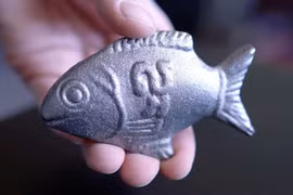 Tận mắt xem dùng cá sắt chữa thiếu máu kỳ diệu khó tin