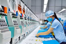 Không kỳ vọng có lãi, Garmex Sài Gòn dự kiến lỗ 42,5 tỷ năm 2025