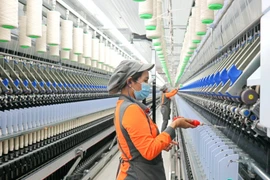 Sợi Thế Kỷ phát hành 14,5 triệu cổ phiếu chi cổ tức 2023