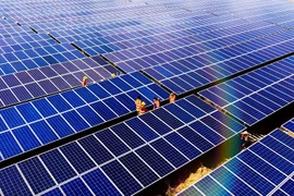 Loạt lãnh đạo từ nhiệm, BCG Energy dời lịch họp Đại hội thường niên