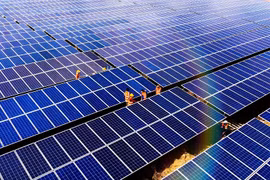 Loạt lãnh đạo từ nhiệm, BCG Energy dời lịch họp Đại hội thường niên