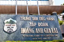 Hoàng Anh Gia Lai đưa ra phương án khắc phục cổ phiếu cảnh báo
