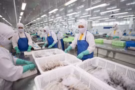 Sao Ta ước lãi cao nhất lịch sử