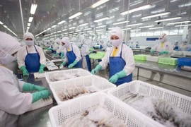 Sao Ta ước lãi cao nhất lịch sử