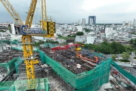 Cổ đông Coteccons sắp được nhận cổ tức tiền mặt sau 3 năm